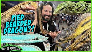 DAYTONA REPTILE BREEDERS EXPO 2024!