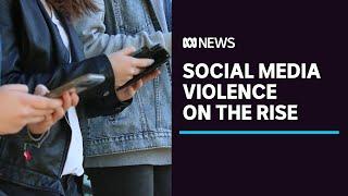 Cyber safety experts say social media violence on the rise | ABC News