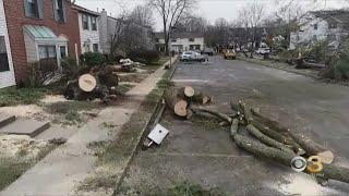 Cleanup underway after EF2 tornado touches down in Mercer County, N.J.