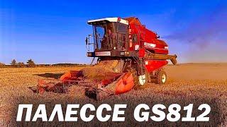 Палессе GS812 Молотим ячмень и пшеницу