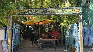 Eating at Blue Heaven Restaurant in Key West, Florida | Best Tomato Ever & Huge Key Lime Pie