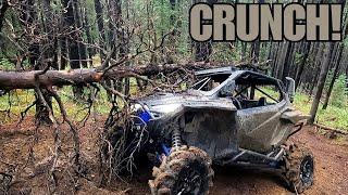 A tree fell on his Polaris RZR!