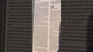 Genesis 15 | Tanakh/Old Testament | Audio Bible | Tree of Life Version | TLV