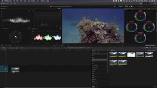 Underwater Video Colour Correction Made Easy