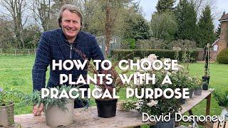 Practical plants and How to choose them