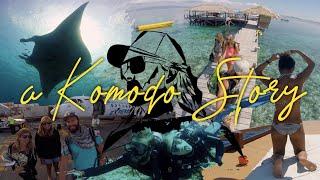 Best Scuba Diving Komodo National Park with Manta Rhei Dive Full Experience