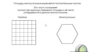 Измерение площади палеткой