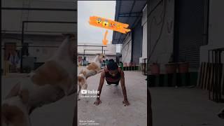 My cutest workout partner 🫂🫶 lovely gym partner  #dogs #cutedog #trending #streetdogshelp #short