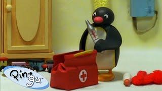 Pingu the Doctor | Pingu - Official Channel | Cartoons For Kids