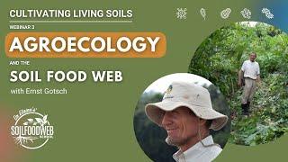 Symbiotic Impact of Agroecology and the Soil Food Web