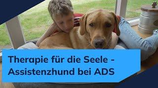 Therapie für die Seele - Assistenzhund bei ADS