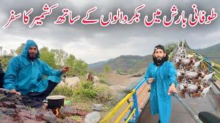 Facing Heavy Thunderstorms While Travelling With Nomads Bakarwal | Life of Kashmiri Bakarwal