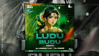 LUDU BUDU I REMIX I DJ FREESTYLZ & DJ DNOIZ I PROMO I