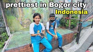 JELAJAHI KEHIDUPAN di KEBON MANGGIS, Kel.PALEDANG KOTA BOGOR Jawa Barat Indonesia  Walk Tour Bogor