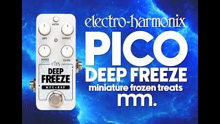 MusicMaker Presents - EHX PICO DEEP FREEZE: Did EHX Just Sneak A SUPEREGO Into A FREEZE Pedal?? Yep!