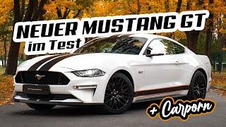 Der neue Ford Mustang aus 2020! | Die Erde bebt! 5.0 Liter V8 Sauger im Test | Die Autogesellschaft