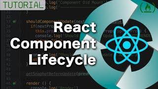 React Component Lifecycle - Hooks / Methods Explained