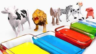 Learn About Animals with Colorful Paints, Puzzles & More!  Fun Learning Video for Toddlers