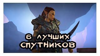 6 ЛУЧШИХ компаньонов в одной упаковке! (что выбрать) Тестируем их все и сравниваем! - Невервинтер