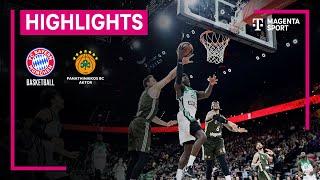 FC Bayern München - Panathinaikos AKTOR Athen | Turkish Airlines EuroLeague | MAGENTA SPORT