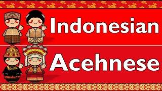 AUSTRONESIAN: INDONESIAN & ACEHNESE