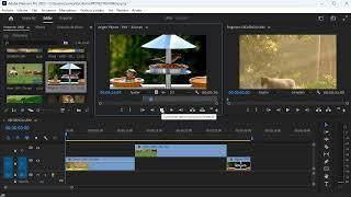 Cómo editar un video en Premiere Pro 2023