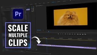 How To Scale Multiple Clips At Once | Adobe Premiere Pro Tutorial