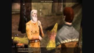 Dragon age: origins - The mad hermit