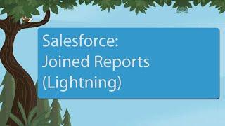 Salesforce: Joined Reports (Lightning)