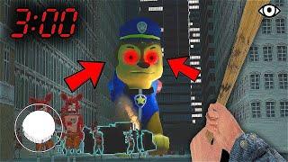 EVIL SCARY CHASE GETS SICK FOUND ME AT 3 HOURS OF THE NIGHT PAW PATROL ONLINE GAME