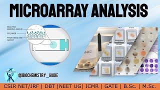 Microarray Analysis