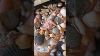 Golden Zen Boutique Shell Jewelry 