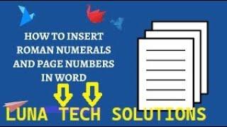 How to insert page numbers with Roman and numerals number