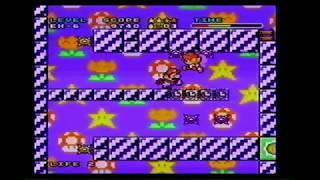 Mario & Wario Perfect Video マリオとワリオパーフェクトビデオ