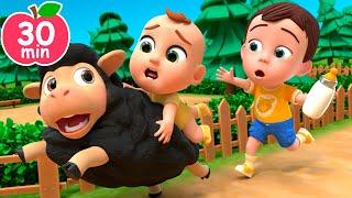 Baa Baa Black Sheep Song | Newborn Baby Songs & Nursery Rhymes