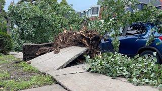 'It was so crazy!': Residents on Buffalo's West Side react to tornado hitting the city