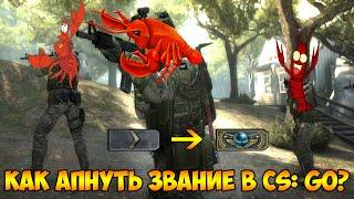 Как поднять звание в CS: GO или как нагибать все живое.