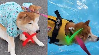 No walk, Only Swim