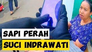 Nganter paket Suci Indrawati di  Jalan Sapi Perah