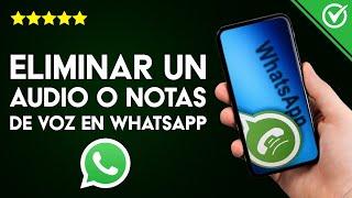 Cómo Eliminar un Audio o Notas de Voz de WhatsApp para Ti o para Todos de Chats y Grupos
