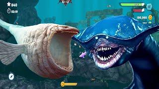 Hungry Shark Evolution Colosos - The Bloop vs El Gran Majá - La Batalla All Sharks Unlocked Gameplay