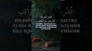 О достоинстве знания. Хадис Абу Ад-Дарды, да будет доволен им Аллах