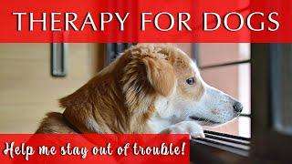 Music Therapy for Dogs Home Alone [Quiet and Calm]