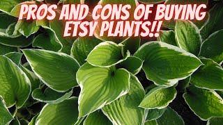 Guide to Buying Plants on Etsy