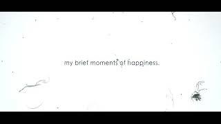 brief moments of happiness