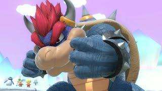 back to BOWSER