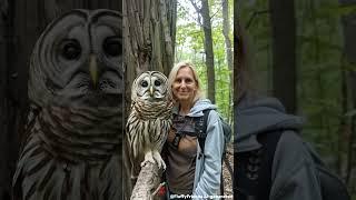 I met a beautiful owl in the wild #owl