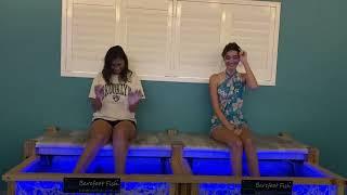 Tickle therapy alert! Watch as laughter takes over in our fish spa oasis. 
