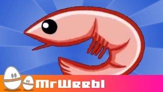 Shrimp Glockenspiel : animated music video : MrWeebl