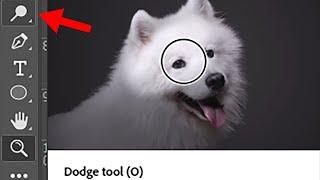 Where did the Dodge Tool  Icon go in Photoshop?